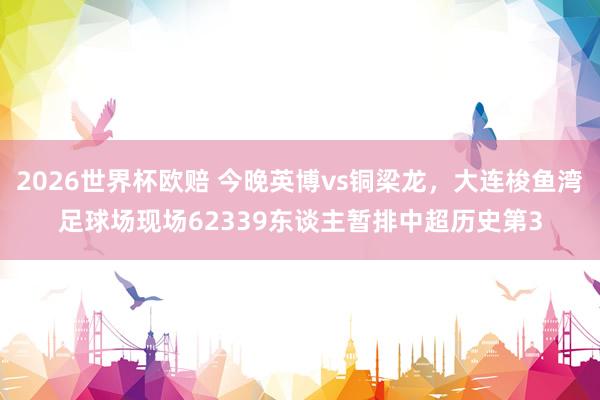 2026世界杯欧赔 今晚英博vs铜梁龙，大连梭鱼湾足球场现场62339东谈主暂排中超历史第3