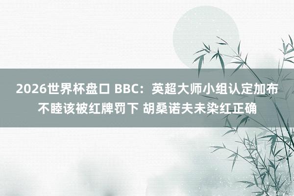 2026世界杯盘口 BBC:英超大师小组认定加布不睦该被红牌罚下 胡桑诺夫未染红正确