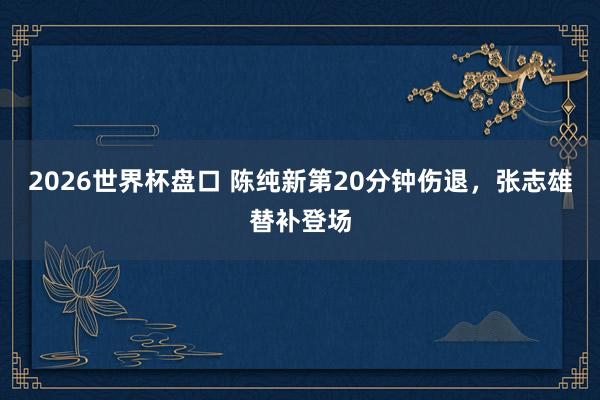 2026世界杯盘口 陈纯新第20分钟伤退，张志雄替补登场