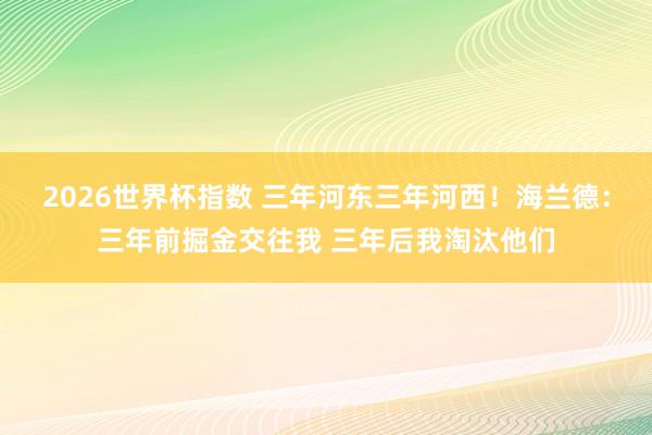 2026世界杯指数 三年河东三年河西!海兰德:三年前掘金交往我 三年后我淘汰他们
