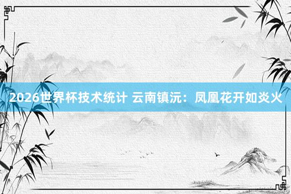 2026世界杯技术统计 云南镇沅:凤凰花开如炎火