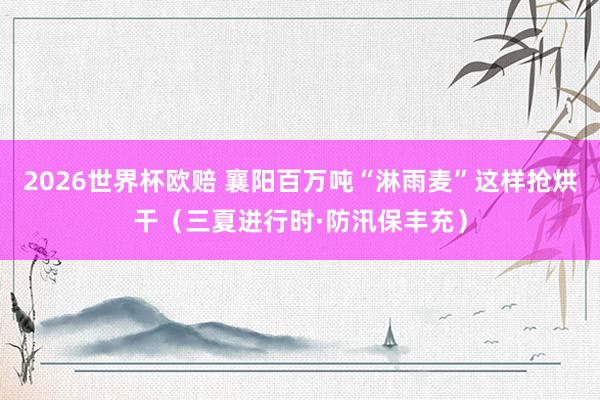 2026世界杯欧赔 襄阳百万吨“淋雨麦”这样抢烘干(三夏进行时·防汛保丰充)