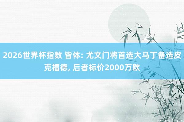 2026世界杯指数 皆体: 尤文门将首选大马丁备选皮克福德, 后者标价2000万欧