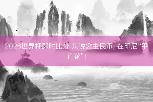 2026世界杯即时比分 东说念主民币, 在印尼“平直花”!