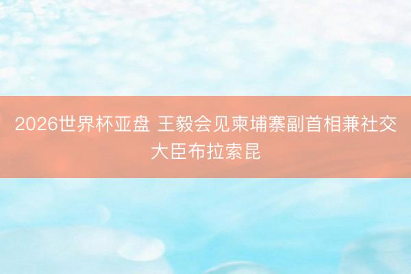 2026世界杯亚盘 王毅会见柬埔寨副首相兼社交大臣布拉索昆